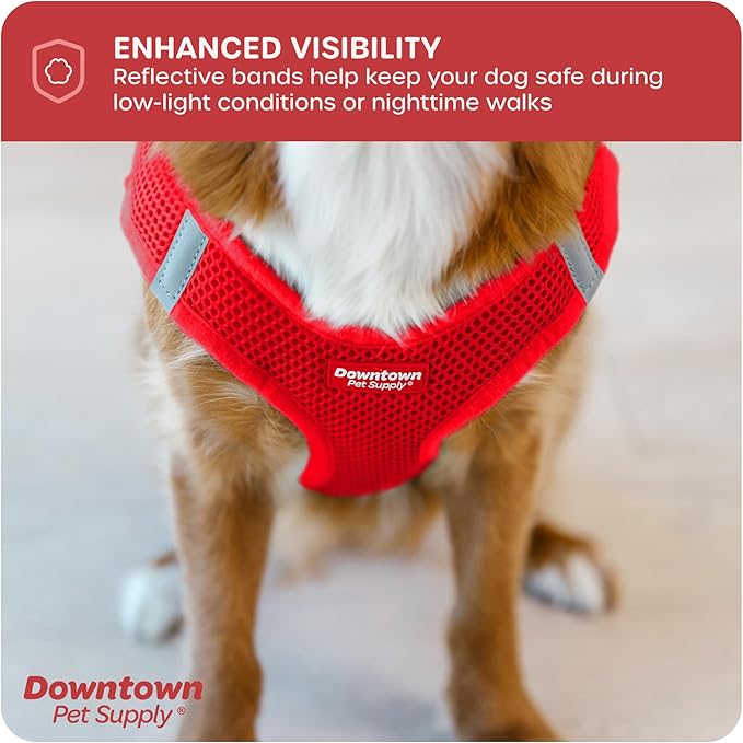 Downtown Pet Supply Step-in Dog Harness – No Pull, Adjustable Padded Mesh with Reflective Trim, Secure Buckle Strap – Comfortable & Breathable Small Dog Harness, XX-Small, Red