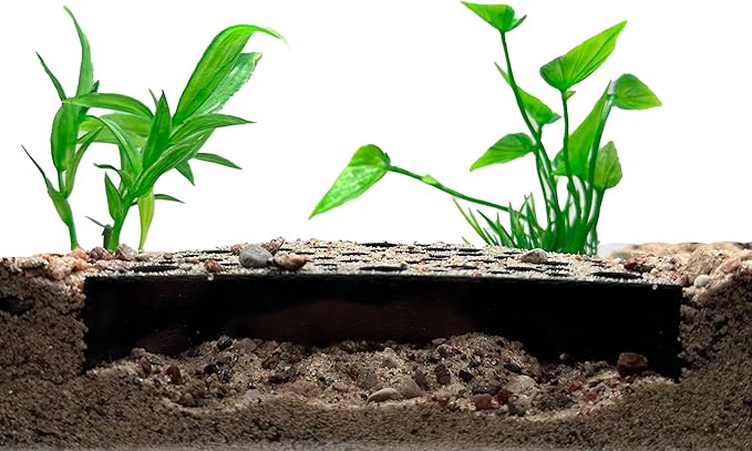 Shrimp Breeding Protector | Shrimp Breeding Cave Aquarium Tunnel | CTWPets (Black)