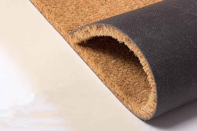 Assaoy There is no Reason for You to be Here Unwelcome mat Funny Door Mats Outside Coir Doormat for Home Entrance,Front Floor Rubber Mat Indoor Outdoor Spring mats Heavy Duty Backing Patio 30”x18 in