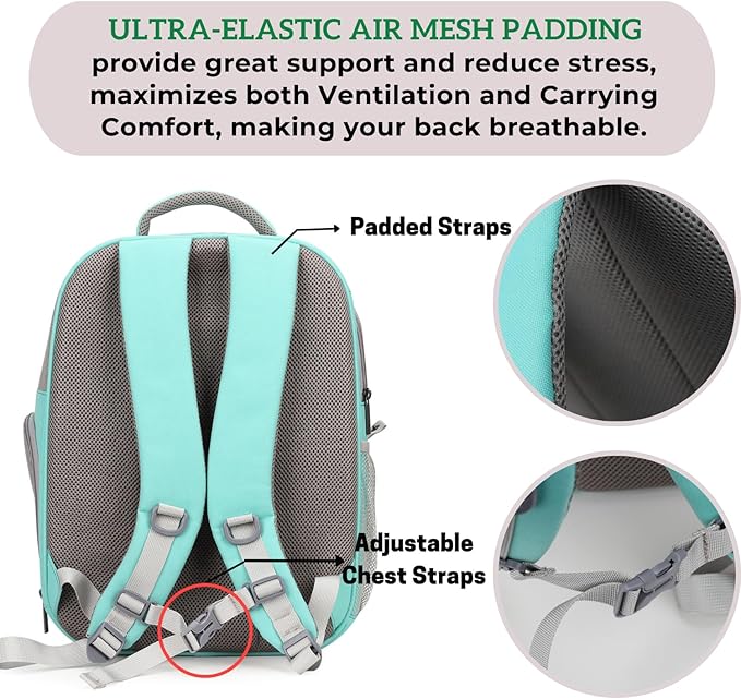 Lollimeow Pet Carrier Backpack, Bubble Backpack Carrier, Cats and Puppies,Airline-Approved, Designed for Travel, Hiking, Walking & Outdoor Use (Green)