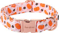 Unique style paws Dog Collar Metal Buckle Collar for Autumn Winter Christmas for Small Medium Large Boys Girls Dogs