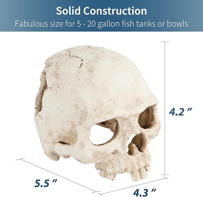 Uniclife Aquarium Skull Reptile House Decor Resin Head Skeleton Ornament for Tank Landscape Decorative Hideout Cave Shelter for Small Fish Shrimp Snail Gecko Spider Lizard in 5-20 Gallon Fish Tank