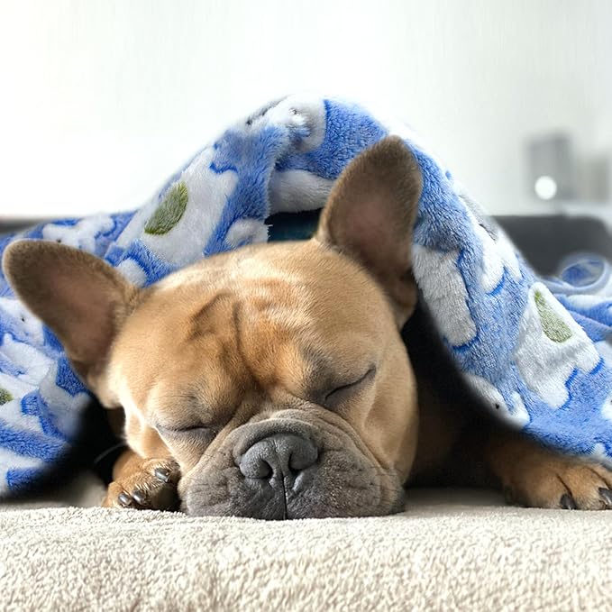 Dog Blankets for Medium Large Dogs, 3 Pack Washable Pet Throw 41" x 31", Fuzzy Soft Puppy Cover for Kennel Crate Bed