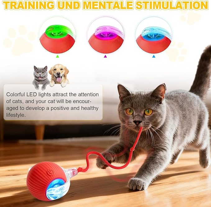 2-Pack Interactive Cat Toys Ball for Indoor Cats＆Dogs,Automatic Cat Toy 360° Auto-Rotation Smart Obstacle Avoidance,Includes 4 Cat Spiral Spring,Cat Enrichment Toys for Indoor Cats (RedBlue)