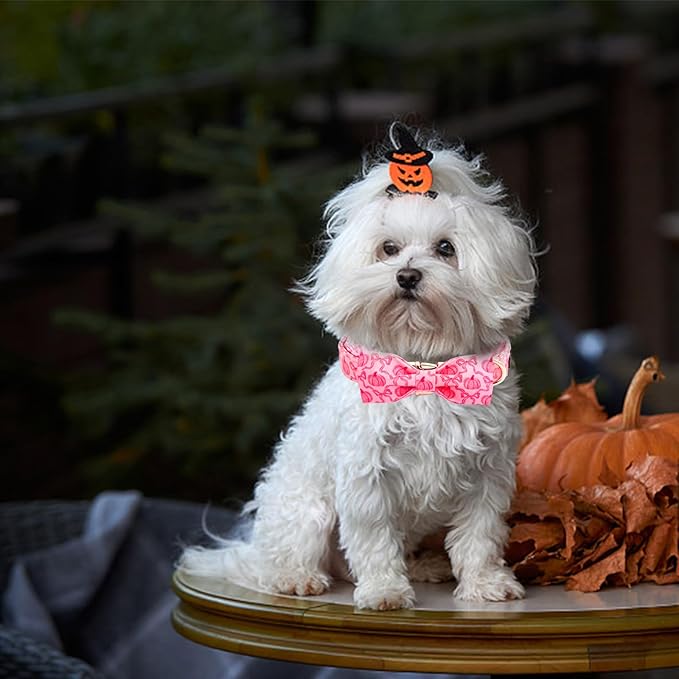 Dog Collar, Pink Pumpkin Print Adjustable Pet Collar Cute Cotton Soft Collars with Bow Tie Fall Metal Buckle Holiday Puppy Collars Boy&Girl Gift for Medium Dogs
