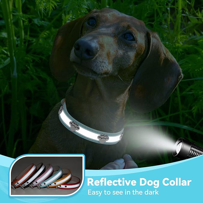 PETCARE Reflective Dog Collar with Cute Paw Rivet Studded Funny Soft PU Leather Adjustable Puppy Dog Collars for Small Medium Large Dogs Cats (Blue,Large)