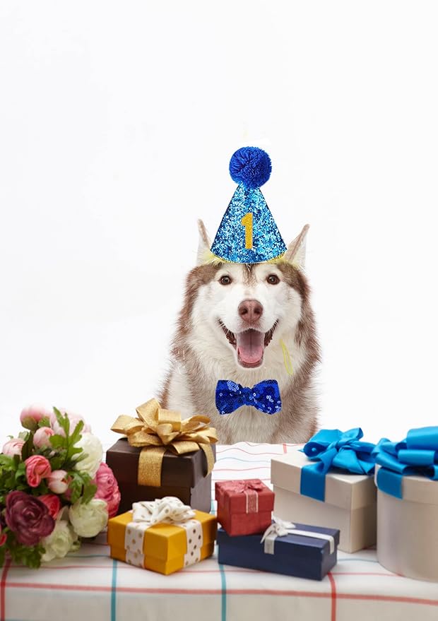 Christmas Pet Party Jazz Hat and Blingbling Bow Tie Breakaway Collar Set, Adjustable Headband for Kitten Puppy Small Dogs Cats (Royal Blue+Number)