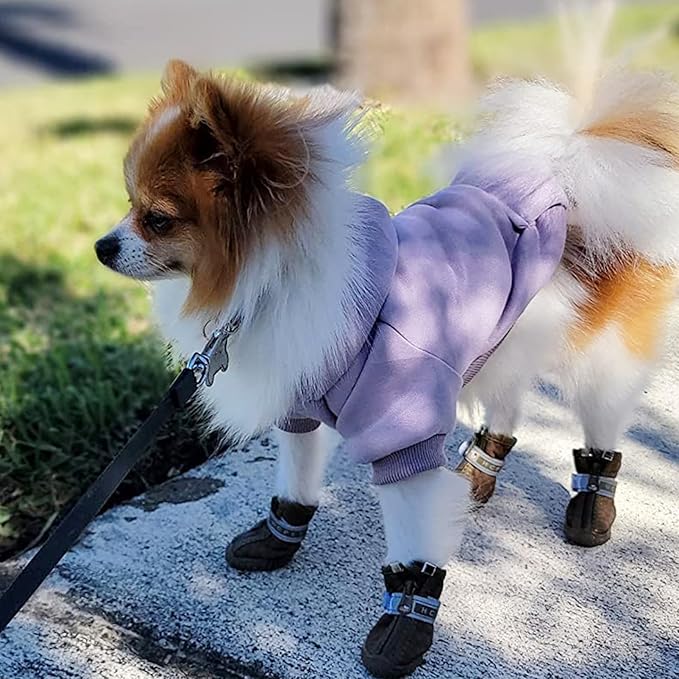 Jecikelon Winter Dog Hoodie Sweatshirts with Pockets Warm Dog Clothes for Small Dogs Chihuahua Coat Clothing Puppy Cat Custume (Purple, X-Small)