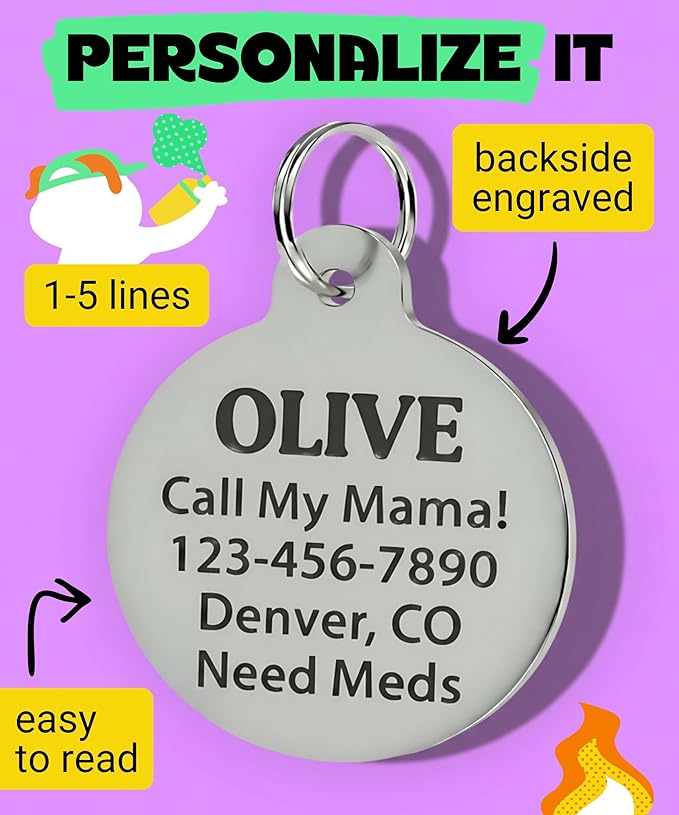 Bad Tags Personalized Dog and Cat ID Tags in 25+ Designs and 2 Sizes - 5 Lines of Custom Engraved Text - Funny Cute Personalized Pet Tags (Cheese Tax Collector, Small (1 inch))