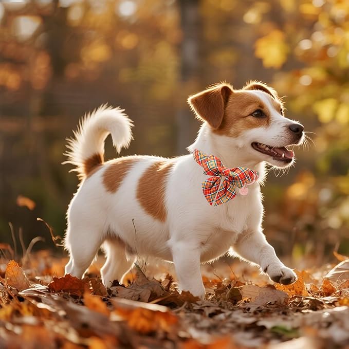 Autumn Plaid Dog Collar and Bow Tie Set – Orange Yellow Checkered Adjustable Fall Collar with Maple Leaf Charm for Small Medium Large Dogs, Soft Cotton Pet Collars with Buckle and D-Ring
