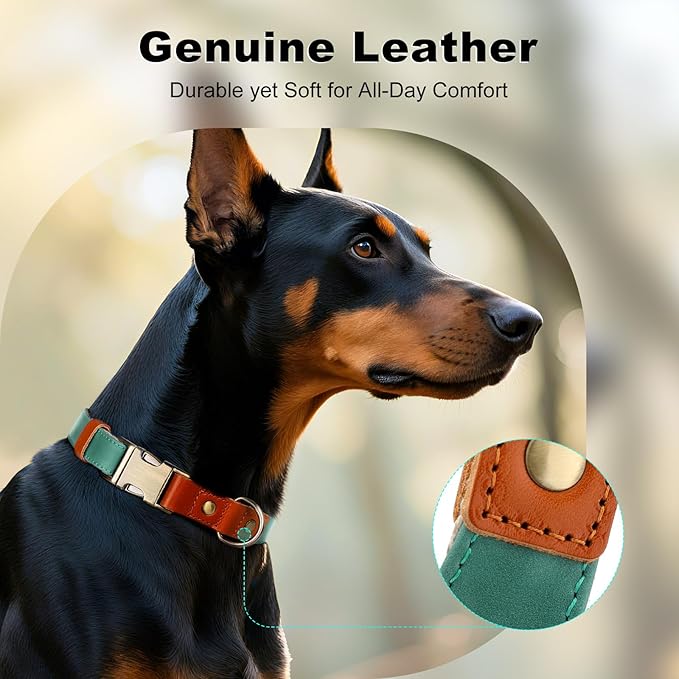 Plutus Pet Genuine Leather & Hemp Dog Collar – Adjustable Heavy Duty Pet Collar with Quick Release Metal Buckle, Soft & Stylish for Puppy and Small, Medium, Large Dogs (Green, L)