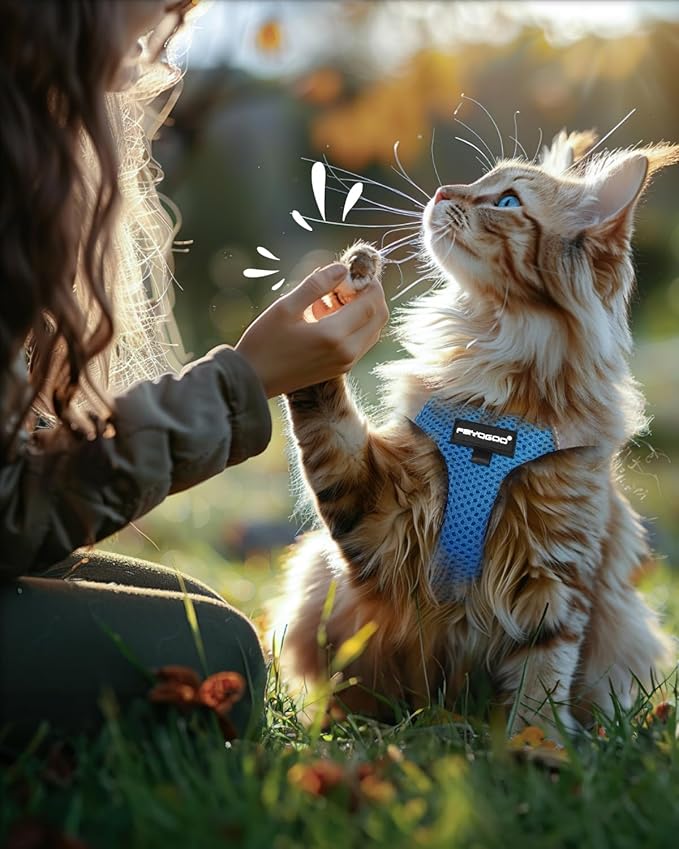 FAYOGOO Cat Harness, Cat Leash and Harness Set for Walking Escape Proof, Harness for Small Cats/Small Dogs, Large Kitten/Puppy Harness and Leash, Harness for Cats S-XXL(Tranquil Teal, Medium)