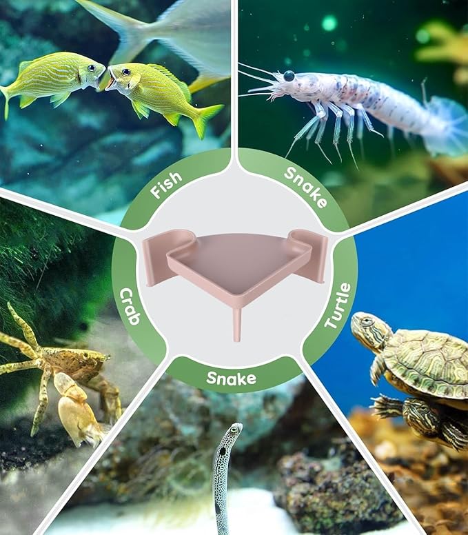 Aquarium Cave Hideout with Viewing Window - 2 Hole Corner Fish Tank Decoration for Pleco, Cory Catfish, Kuhli Loach, Shrimp & Betta Fish - Safe Underwater Tunnel for Bottom Dwellers