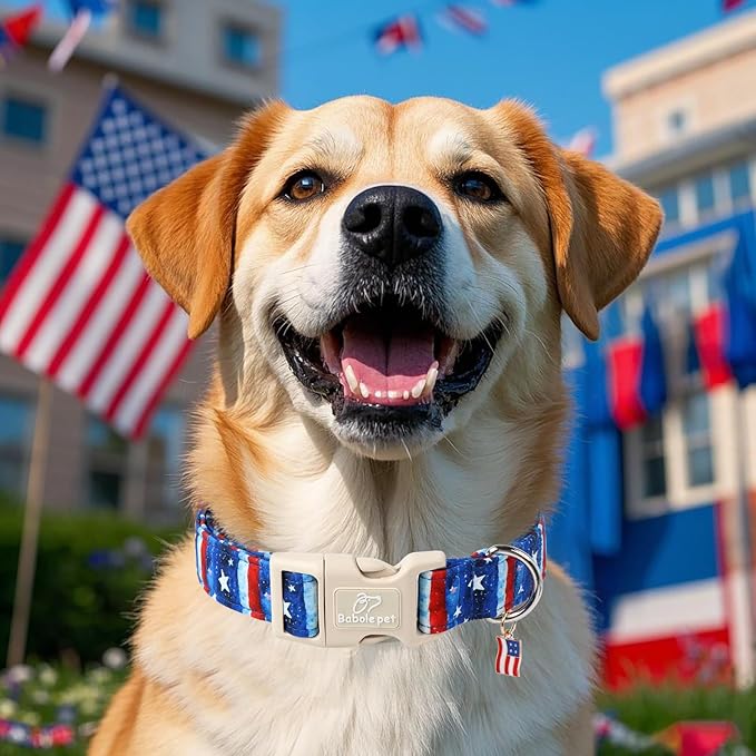 4th of July Dog Collar, Stars & Stripes Patriotic Dog Collars for Puppy Small Dogs, Adjustable Lightweight Quick-Release Buckle Collar for Boy&Girl Dogs XS