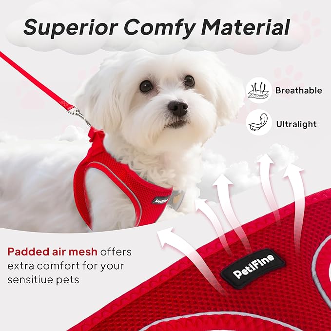 PetiFine Step in Small Dog Harness and Leash Set, Breathable All Weather Air Mesh Reflective Escape Proof, Step-in Vest Harnesses for Puppy(XS, Red)