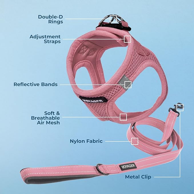 Best Pet Supplies Voyager Step-in Air All Weather Mesh Harness and Reflective Dog 5 ft Leash Combo with Neoprene Handle, for Small, Medium and Large Breed Puppies - Harness Leash Set (Pink), XS