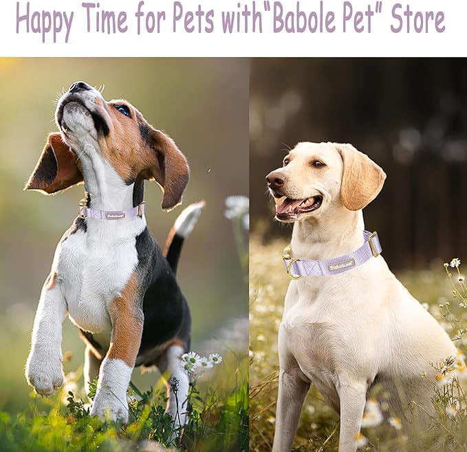 Nylon Dog Collar - Adjustable Lavender Soft Webbing Dog Collars for Small Medium Large Dogs Boy Girl Puppy Collar with Safety Metal Buckle M