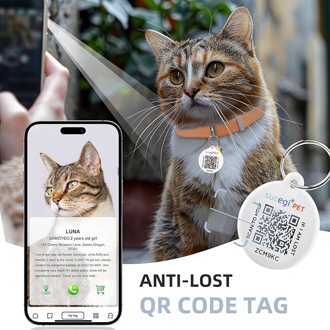 Cat Collar with Bell, Stretch Elastic Quick Release, Modifiable Pet Online Profile Page, Multiple Emergency Contact, Non Breakaway Lightweight Kitten Collar for Girl Cats, Pet Supplies, Gifts (Orange)