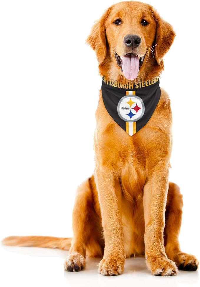 Littlearth NFL Denver Broncos Pet Bandana