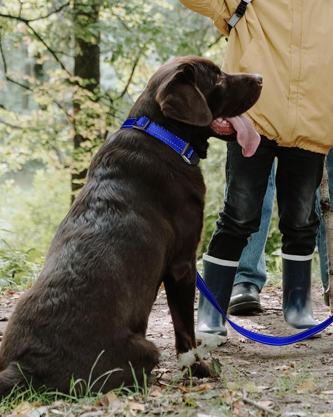 TagME Reflective Nylon Dog Collars, Adjustable Classic Pet Collar with Quick Release Buckle for Large Dogs, Royal Blue, 1.0" Width