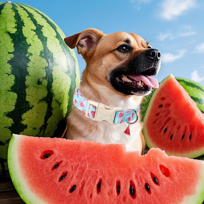 Adjustable Summer Dog Collar, Cute Watermelon Dog Collars for Large Dogs, Lightweight Quick-Release Buckle Collar for Boy&Girl Dogs L