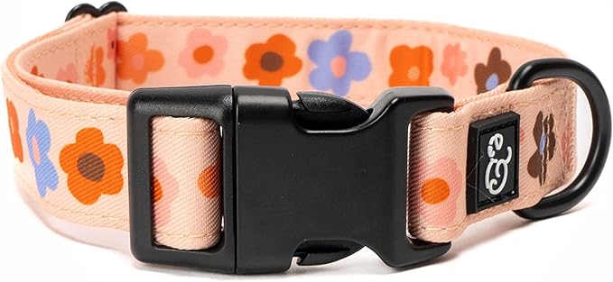 Lucy & Co. Let's Groove Dog Collar - Durable Lightweight Designer Collar for Pets - Adjustable Metal Safety Buckle - Purple Coral Floral - Small