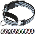 Martingale Dog Collar, Adjustable Nylon Reflective Collar with Quick Release Buckle (Ice Blue, Large)
