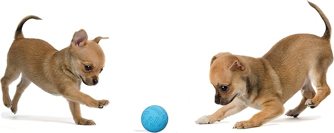 Snug Rubber Dog Balls for Small and Medium Dogs - Tennis Ball Size - Virtually Indestructible (3 Pack - Blue)