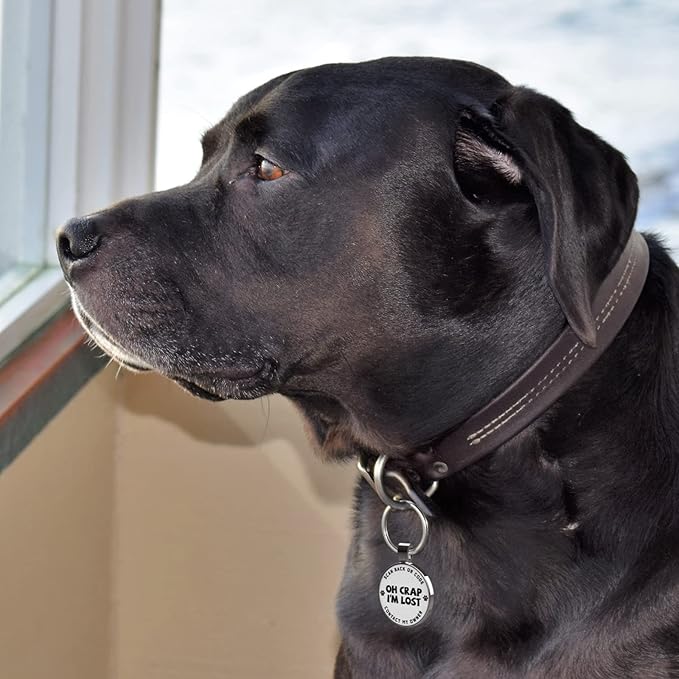 MYLUCKYTAG QR Code Pet ID | Personalized Dog & Cat Collar Tag | Online Profile with Instant Scanned Location Alert Email