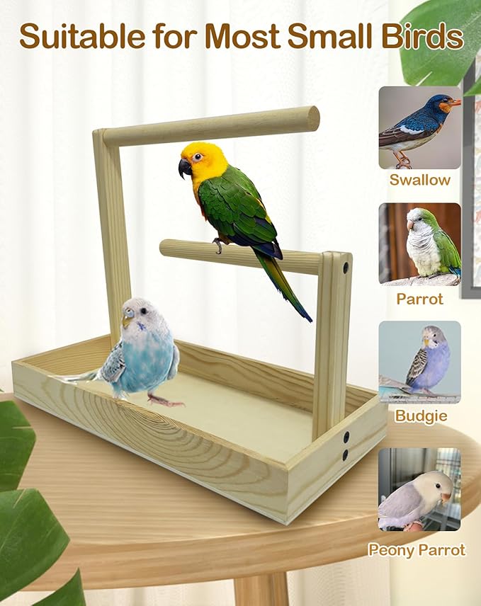 Small Bird Training Stand Portable Tabletop Birds Perch Desktop Platform Training Perch with 5 Pcs Disposable Pads Parakeet Play Gyms Exercise for Budgie Conure Parrot Cockatiel Lovebird