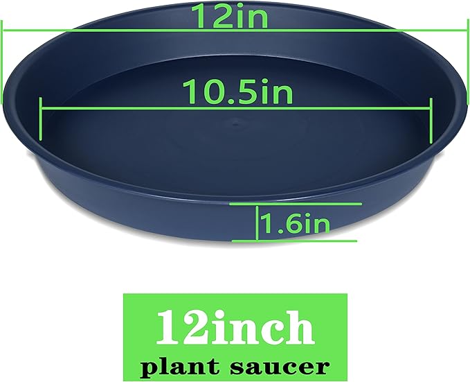 6 Pack of 12 inch Plant Saucer, Heavy Duty Plastic Plant Saucer 12" Round, Durable Plant Tray for Pots, Plant Saucers for Indoors, Plant Trays for Planter (12", Blue)