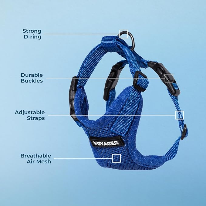 Voyager Escape-Proof Step-in Lock Cat Harness & 5ft Neoprene-Handle Leash Set All-Weather Mesh with Reflective Stitching for Small to Large Cats by Best Pet Supplies, Royal Blue, S