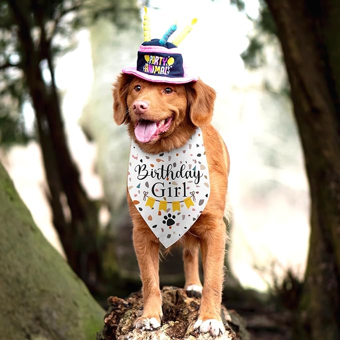 Dog Birthday Bandana Party Supplies Photo Prop Puppy Happy Birthday Dog Pet Scarf Accessories for Dog Lovers