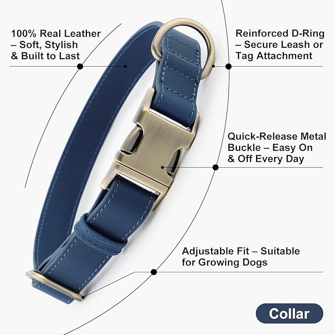Plutus Pet Genuine Leather Dog Collar – Adjustable Pet Collar with Quick Release Metal Buckle, Soft Real Leather for Small Medium Large Dogs, Heavy Duty & Skin-Friendly (Royal Blue, S)