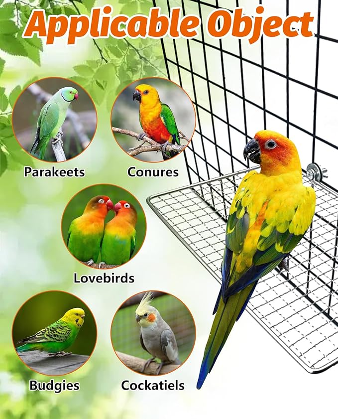 BNOSDM 2 Pack Bird Perch Platform Stainless Steel Birds Perches Parrot Shelf Training Stand Small Animals Cage Accessories for Parakeets, Budgies, Conures, Cockatiels, Lovebirds (Extra-Large Size)