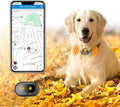 GPS 4G Tracker & Health Monitoring for Dog with LED Light Up,Sounding, Waterproof GPS Location & Smart Pet Activity Tracker, Unlimited Range use for Dogs Collar. (Large)