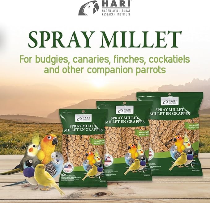 Living World – Millet Spray for Birds, 17.6 Oz – Premium Treat for Budgies, Canaries, Finches, Cockatiels and Other Pet Birds