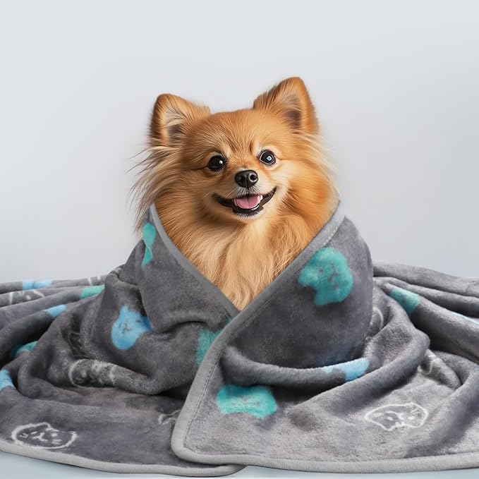 1 Pack 3 Blankets Super Soft Fluffy Premium Cute Cat Pattern Pet Blanket Flannel Throw for Dog Puppy Kitten Blue/Cyan/Grey Large(41x31 inch)