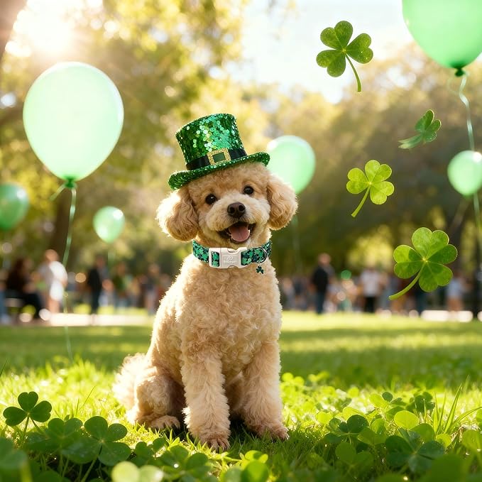 St Patricks Day Dog Collar for Puppy Small Dogs - Green Lucky Clover Dog Collars, Lightweight Adjustable Irish Festival Shamrock Dogs Collars with Quick Release Buckle XS