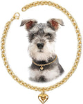 HOWWFALY Dog Collar and Cat Chain Necklace Stainless Steel Adjustable 18K Gold Heart-Shaped Necklace for Small Pets Cats Kitten Puppy (Gold, 12 inch)