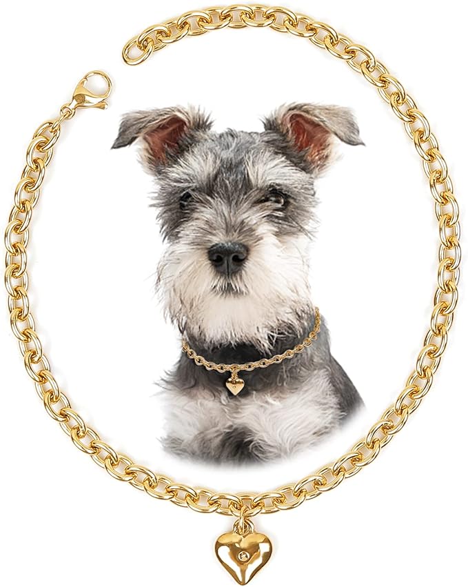 HOWWFALY Dog Collar and Cat Chain Necklace Stainless Steel Adjustable 18K Gold Heart-Shaped Necklace for Small Pets Cats Kitten Puppy (Gold, 12 inch)