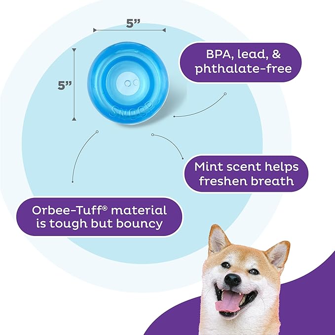 Outward Hound by Planet Dog Snoop Dog Toy – Treat‑Dispenser Puzzle Ball, Interactive Slow Feeder, Medium to Large Dogs, Bouncy & Mint-Infused, Blue, 5"