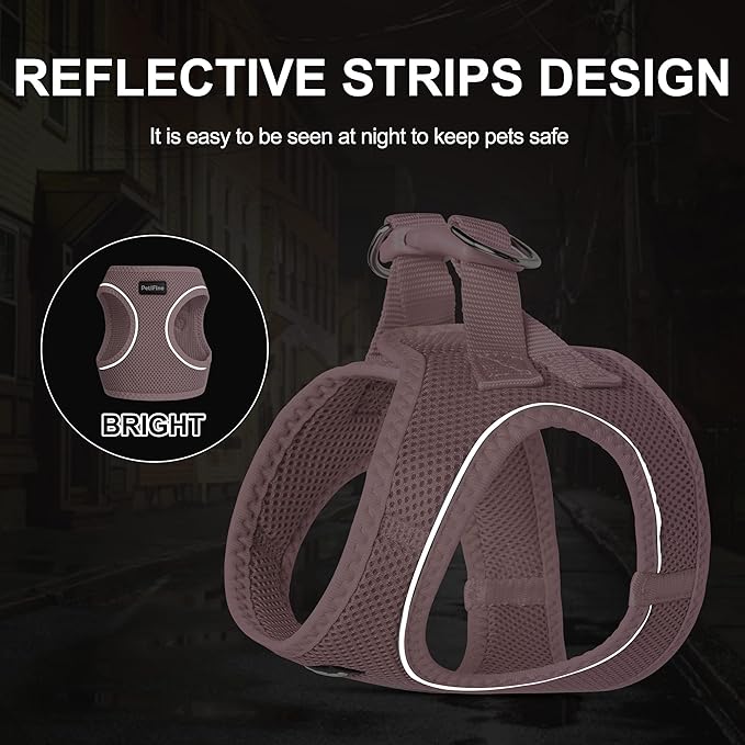 PetiFine Extra Small Step in Dog Harness and Leash Set, Cat Harness and Leash Escape Proof, All Weather Mesh Reflective, Step-in Air Vest Harnesses for Puppy(XXS, Pink)