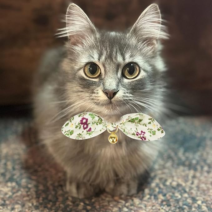 Bowtie Cat Collar with Bell, 2 Pack Cotton Breakaway Kitten Collars with Removeable Bow Stylish Cat Collars, Floral Green & Plaid