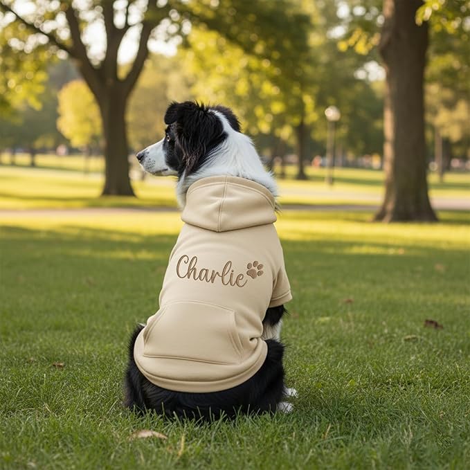 Personalized Dog Hoodie, Custom Embroidered Name Pet Hoodie, Warm Winter Outfit for Dogs, Pet Clothes, Gift for Dog Lovers 5