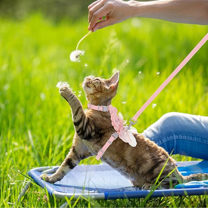 TIESOME Cat Harness and Leash Set, Adjustable Gradient Kitten Harness Escape Proof Harness with Leash for Kitty Outdoor Walking (Ribbon Bear Pink)