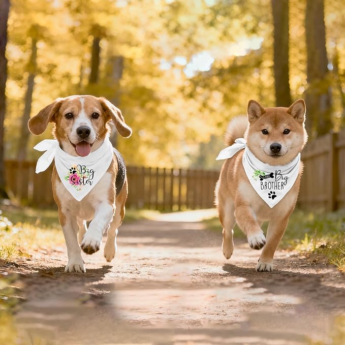 2 Packs Big Sister Brother Pregnancy Announcement Dog Bandana, Gender Reveal Photo Prop, Pet Scarf Accessories, Pet Scarves for Dog Lovers