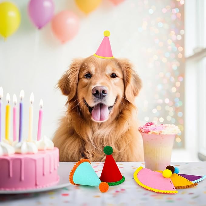 Hxezoc 10 Pcs Mini Birthday Party Hats Multicolor Lovely Crimping Cone Hats for Animals Stuffed Pets Birthday Holiday Accessories Decoration Supplies