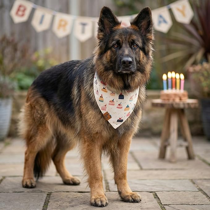 Birthday Dog Bandanas Extra Large, Reversible Colorful Cakes Stripes,Soft Breathable Adjustable Scarf for Large Extra Large Dogs, Boy Girl Party Outfit Accessory Gift