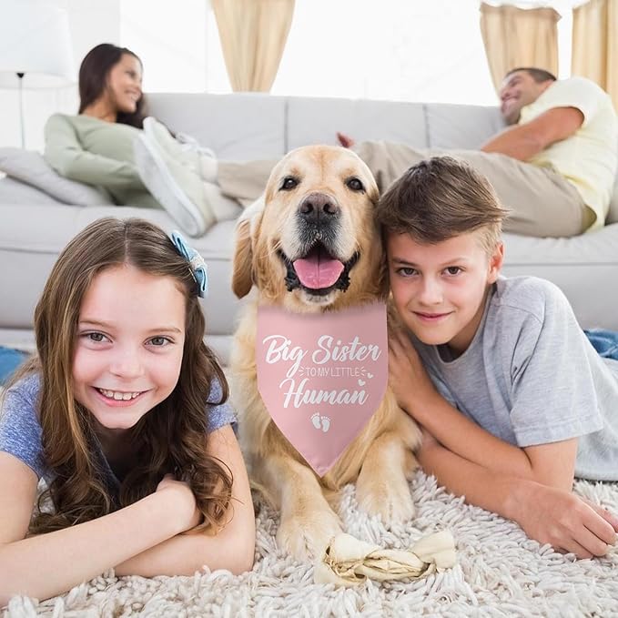 Baby Announcement Dog Bandana Big Sister to My Little Human Gender Reveal Pregnancy Announcement Photo Props Dog Scarf for Large Medium Small Dogs